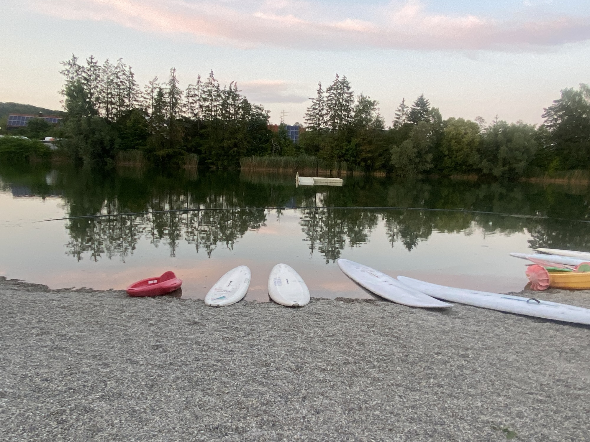 Lots of swimming around River Lech