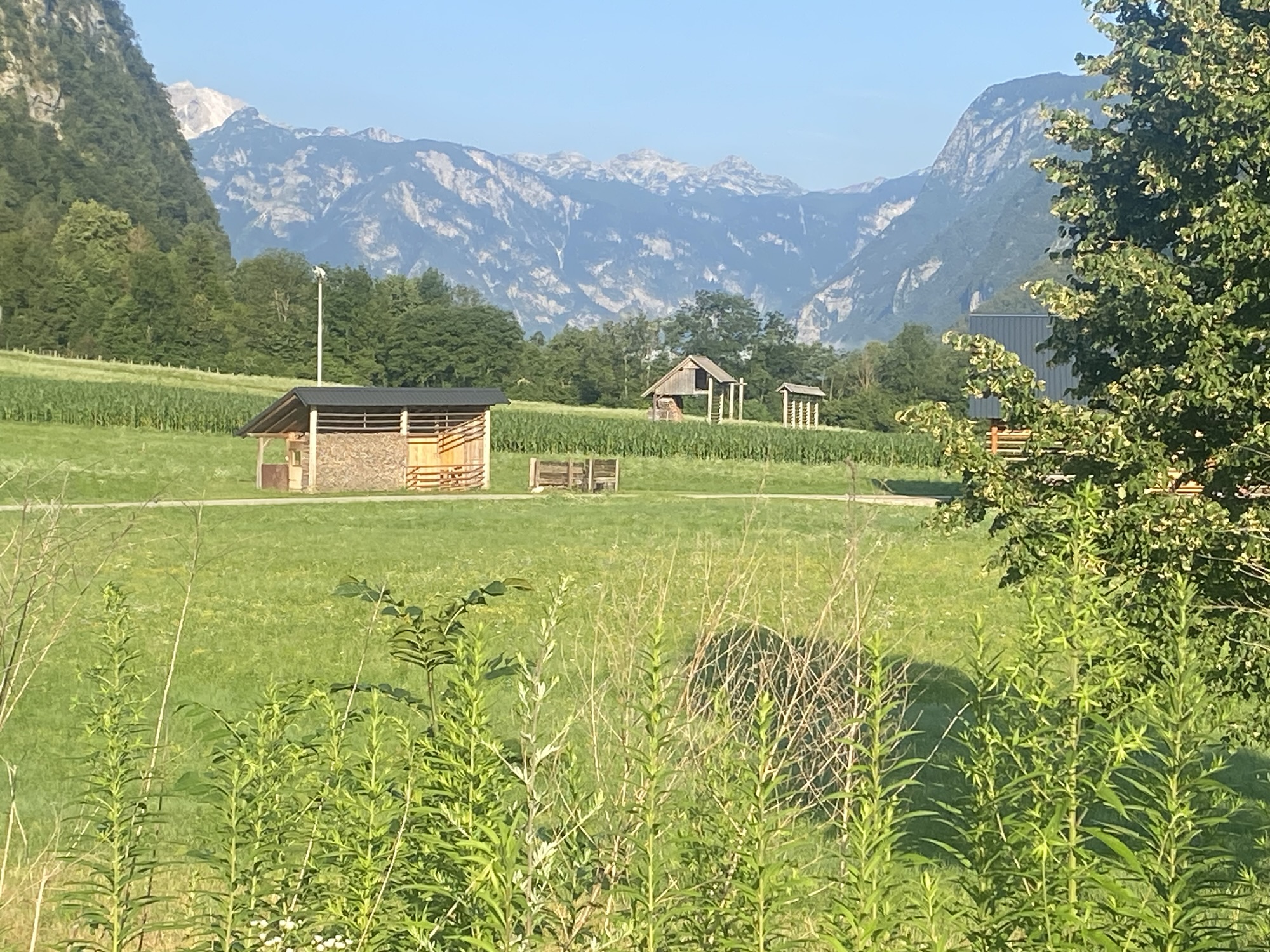 Into Slovenia
