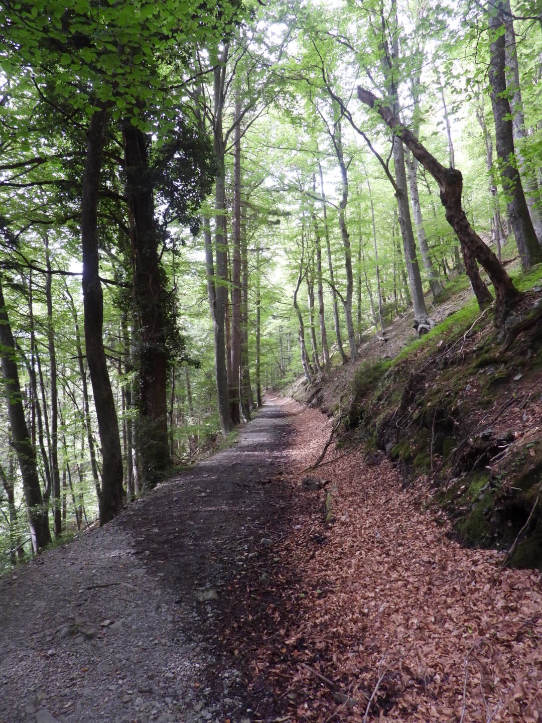 Maribor Pohorje Mountains